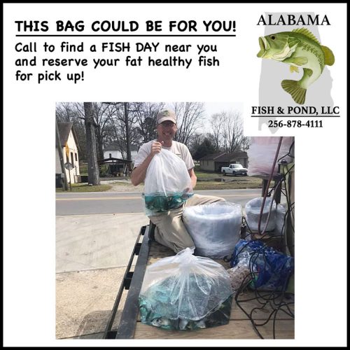 AD - Dale Fish Bags on Truck