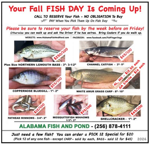 Pond Stocking Flyer for Fall