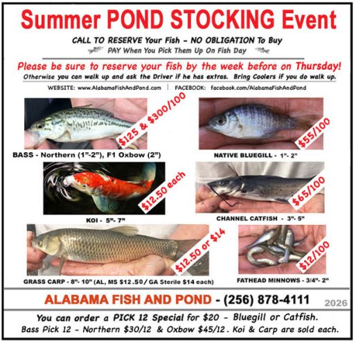 Summer Pond Stocking Fish Day