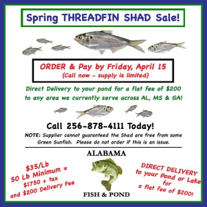 SHAd - Spring 2026