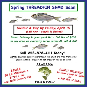 SHAd - Spring 2026