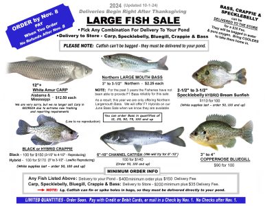 Our after Thanksgiving Large FIsh Sale Flyer for 2024.