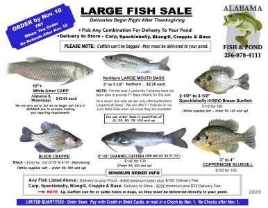 Large Fish Sale - 2025