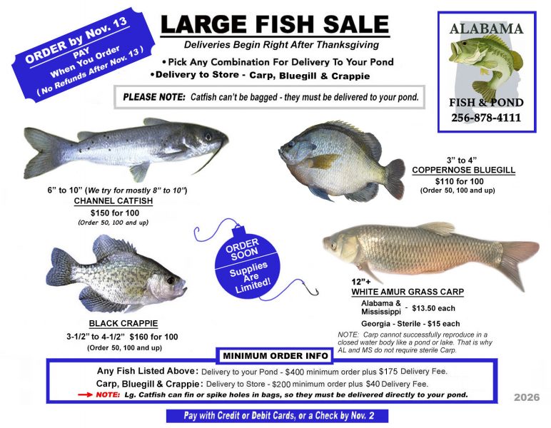 Our LARGE Fish Sale Flyer for Fall 2026