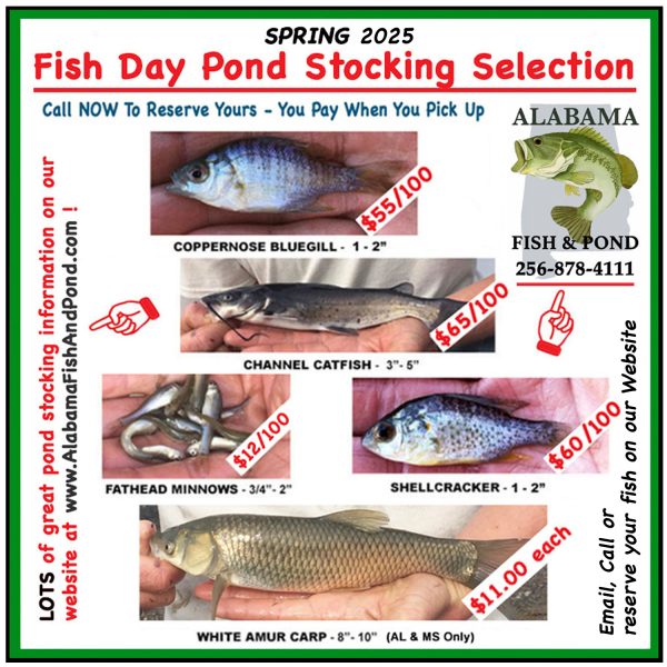 Spring Pond Stocking Fish Selection - 2025