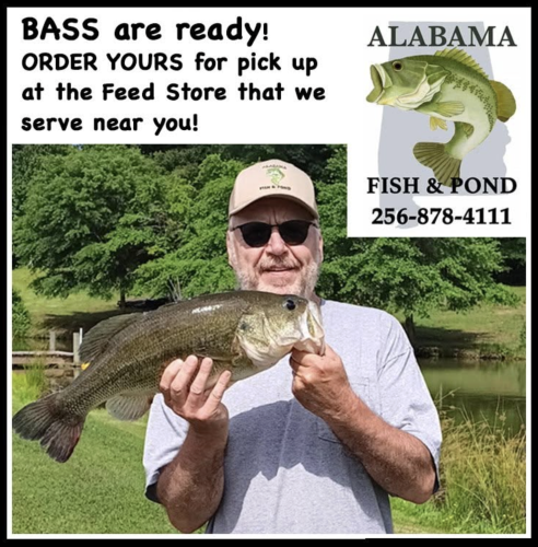 You can't fish um out if you don't put up in!