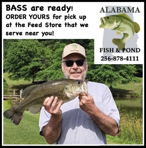 You can't fish um out if you don't put up in!