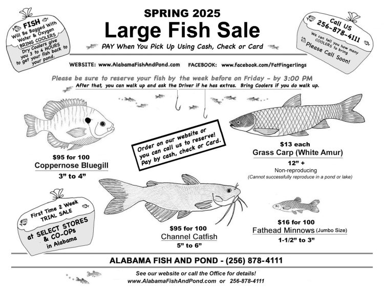 _ a GENERIC - Spring LG FISH Sale 2025