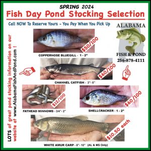 Spring Pond Stocking Fish Day Flyer - 2024